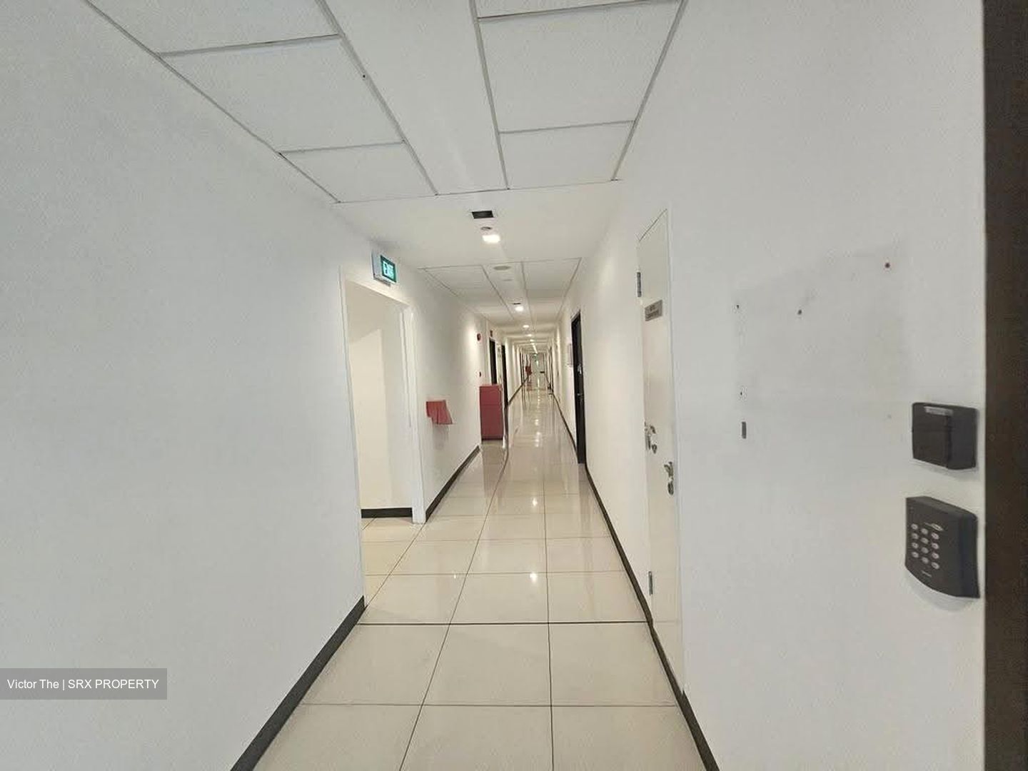 Zervex (D14), Factory #623525761